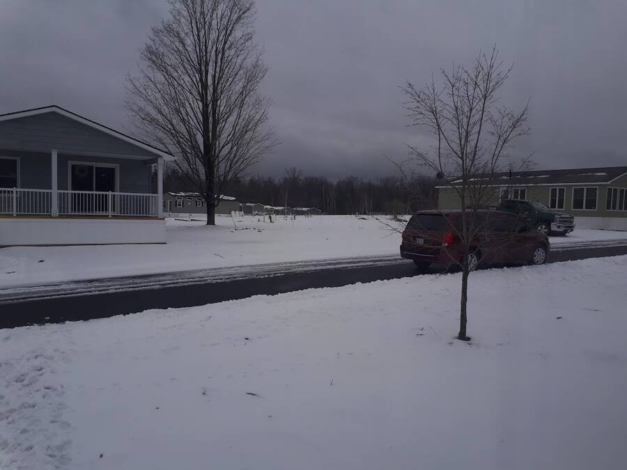 Lost Forest Park 4449 Milburough Town Line, Burlington, ON L7P 0C5