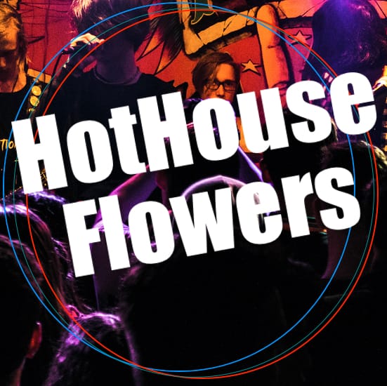 I Can See Clearly Now Hothouse Flowers MIDI File