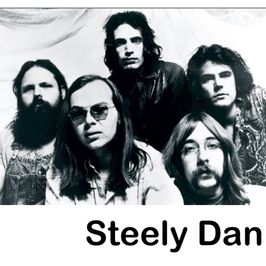 Steely Dan Do It Again Lyrics