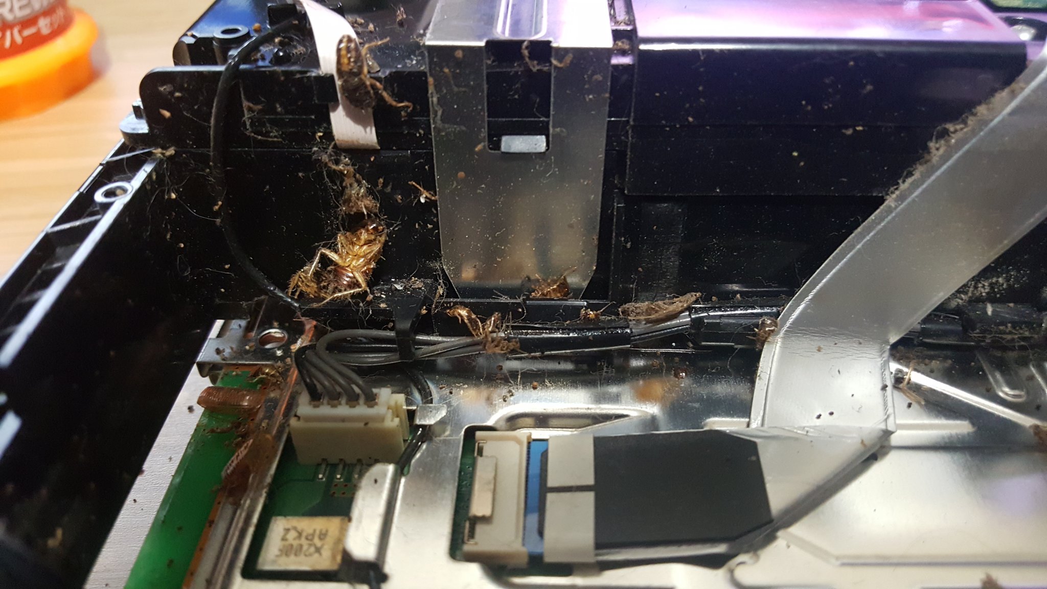 Man finds dead cockroaches in his PS4 & it's apparently common Mothership.SG News from
