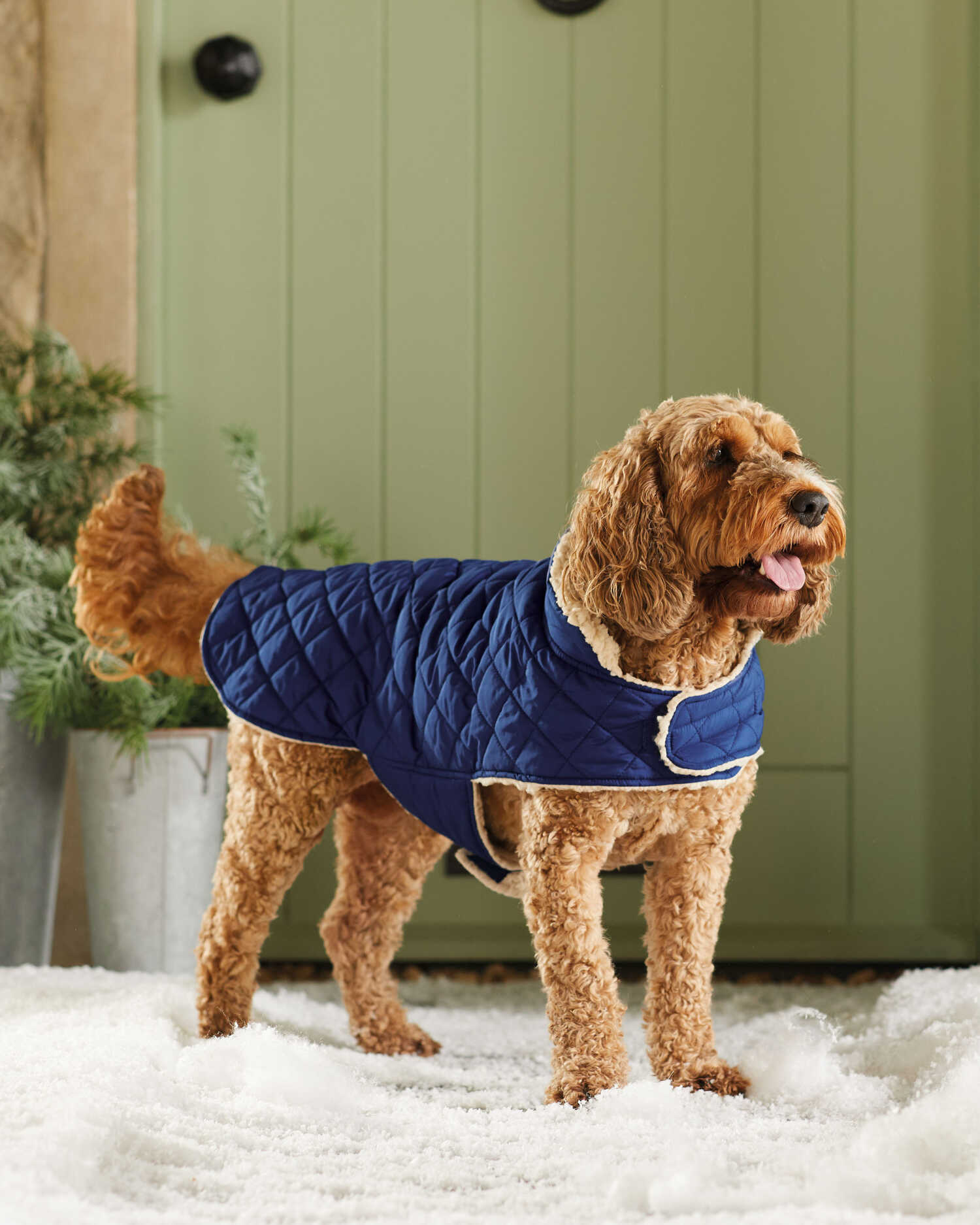 multiPROMOS Quilted Sherpa Dog Coat