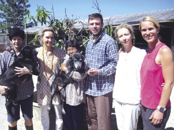 มูลนิธิบ้านอบอุ่น เพื่อสุนัขจรจัด เชิญชวนช่วยน้องหมา โครงการ?SPONSOR A DOG