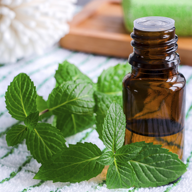 Why Peppermint Oil is a Powerhouse for Your Hair
