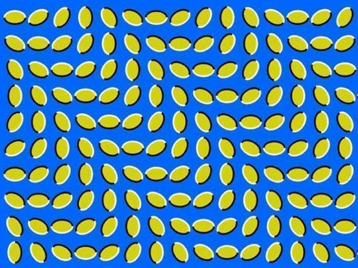 12 MindBending Perceptual Illusions Facts So Romantic Nautilus