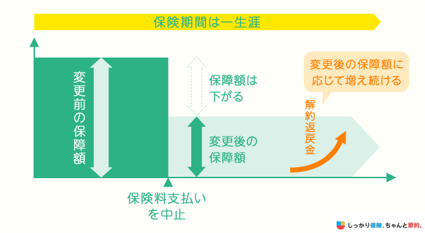 生命保険解約の注意点とは？手続きの流れや解約以外の対処法 ナビナビ保険