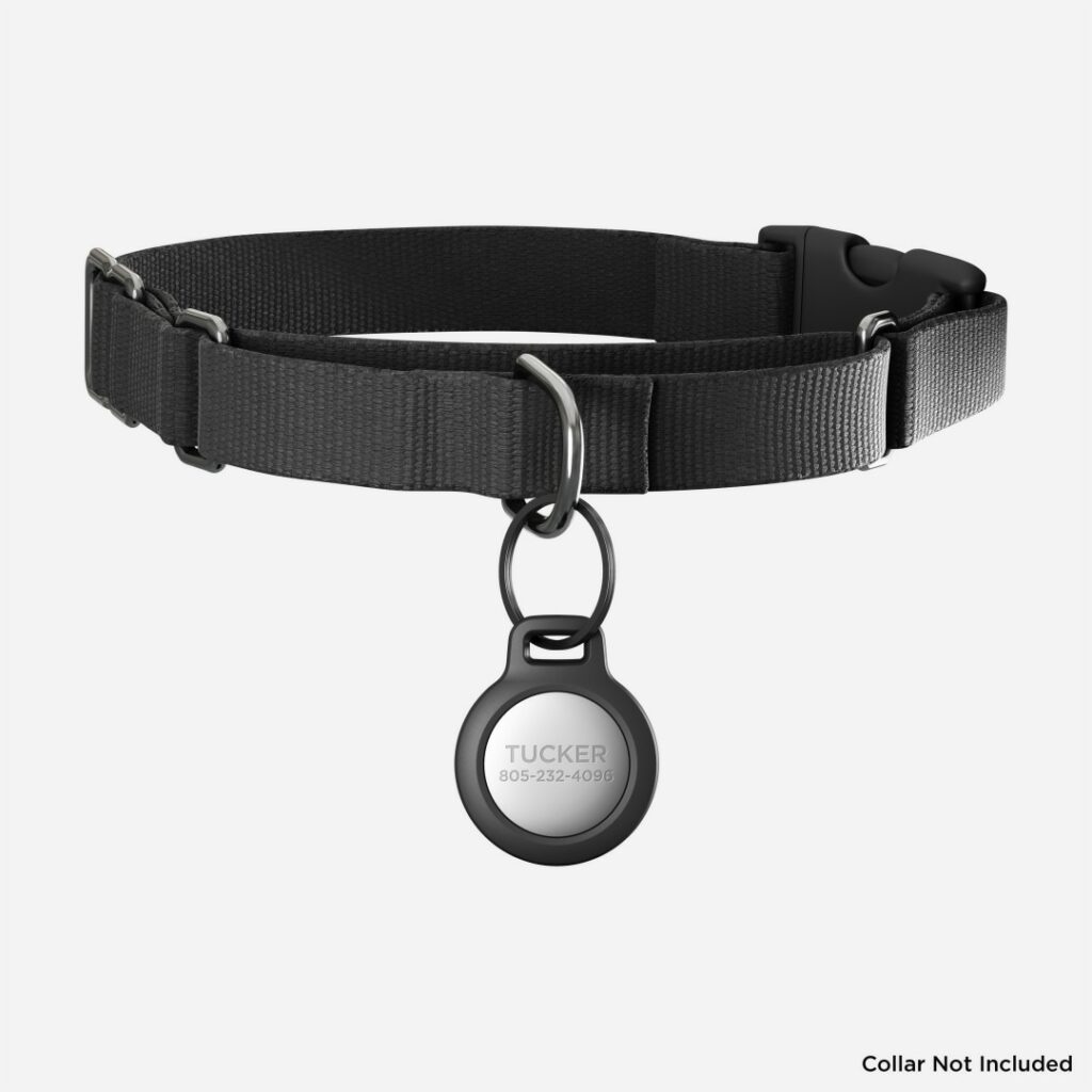 配件商 NoMad 推出寵物專用 AirTag 頸圈 流動日報