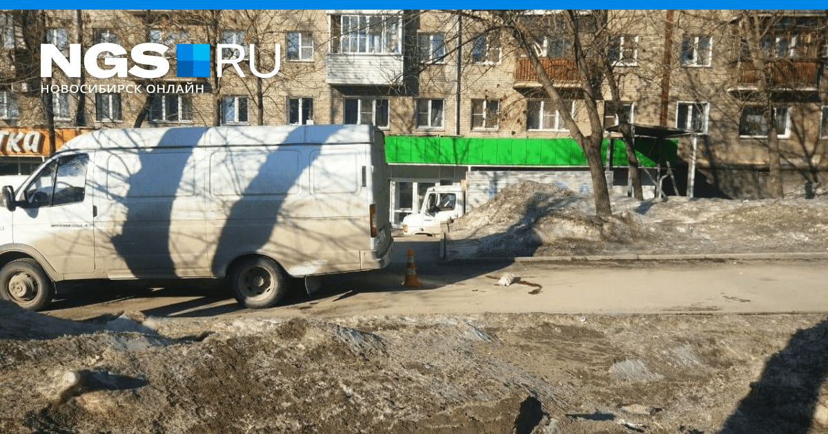 В Новосибирске водитель «Газели» получил полтора года колонии за гибель
