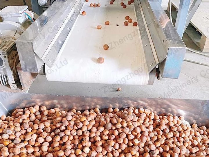 Hazelnut Processing Line Hazelnut Processing Equipment