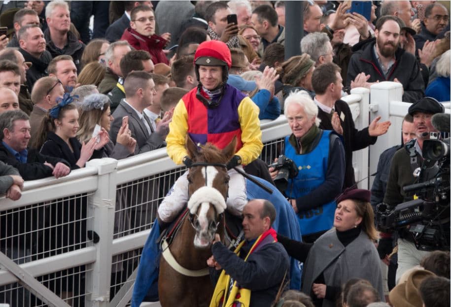 1 in 5 chance that Cheltenham is cancelled, say bookies Oddschecker