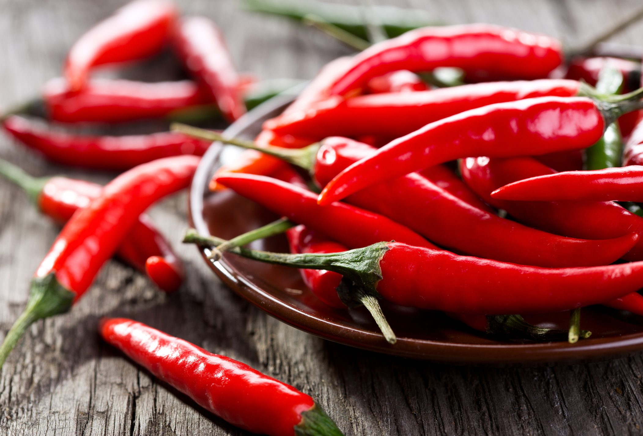 Le varietà di peperoncino più diffuse Ohga!