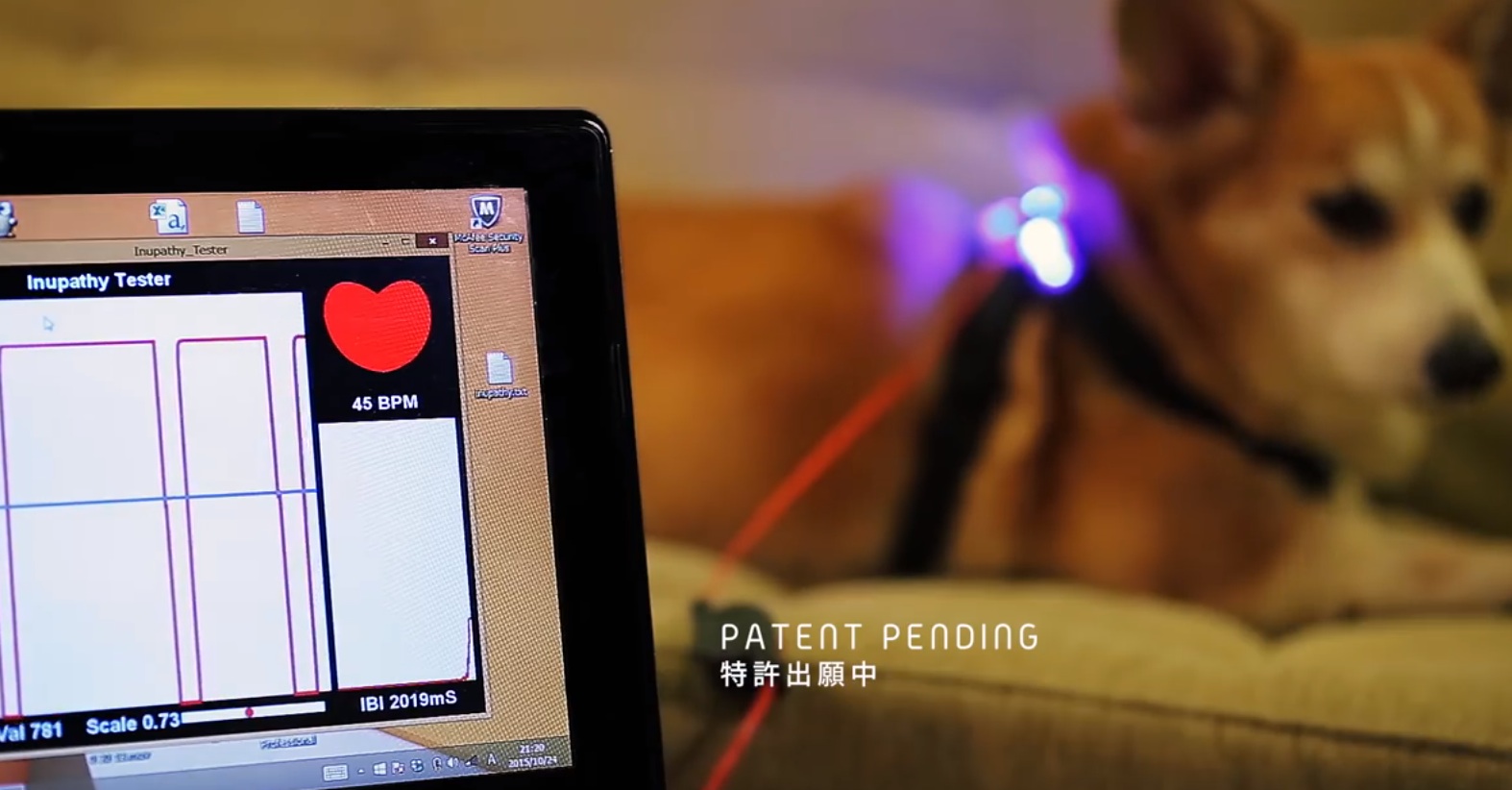 This collar will tell you exactly what your dog is thinking