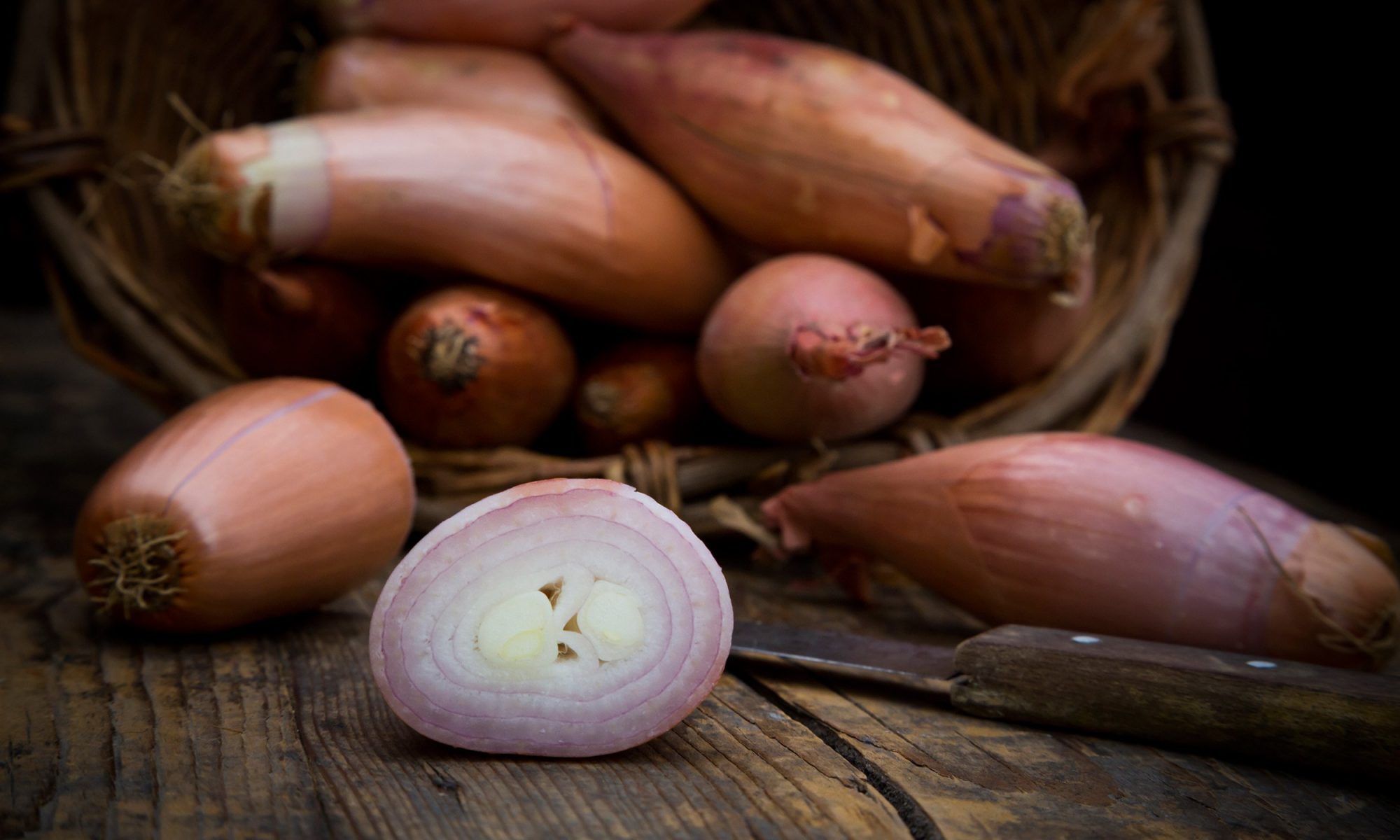 Shallots Vs Onions akpinartolga
