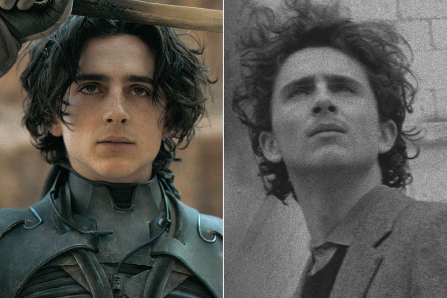 Timothée Chalamet Breaks Box Office Records With Dune, French Dispatch | People.com
