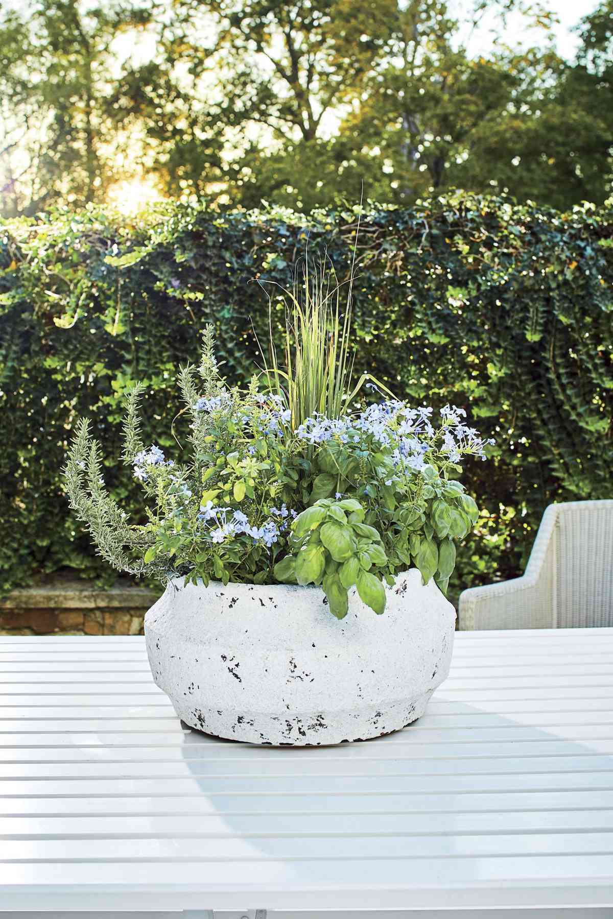 Gravel Garden Ideas With Pots