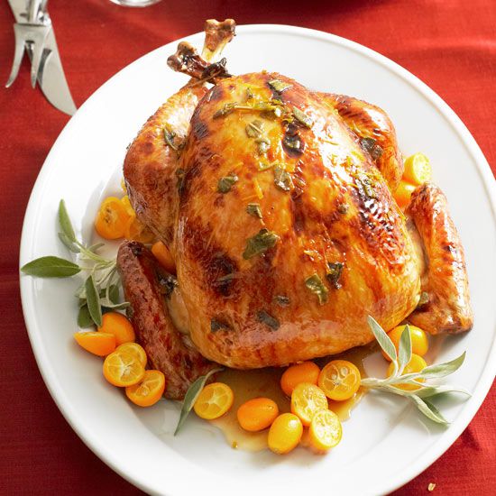 8 Expert Ways to Cook Your Thanksgiving Turkey Better Homes & Gardens