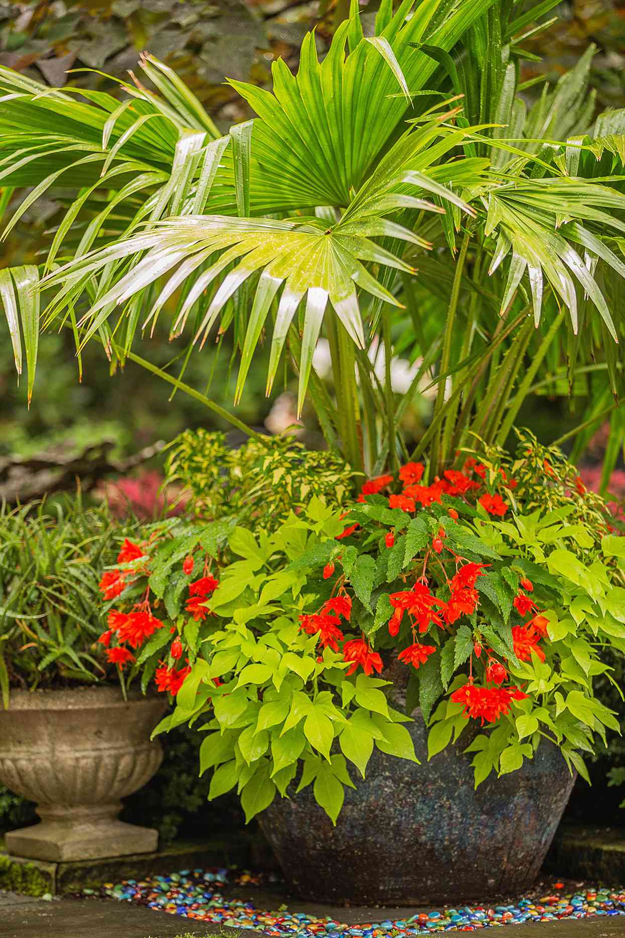 Tropical Container Gardens Better Homes & Gardens