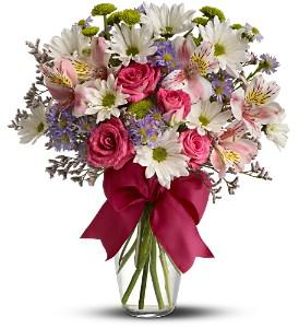 700 35th avenue, tuscaloosa, al 35401. Stephanie's Flowers | We deliver fresh flowers throughout the area. Visit our website or stop by