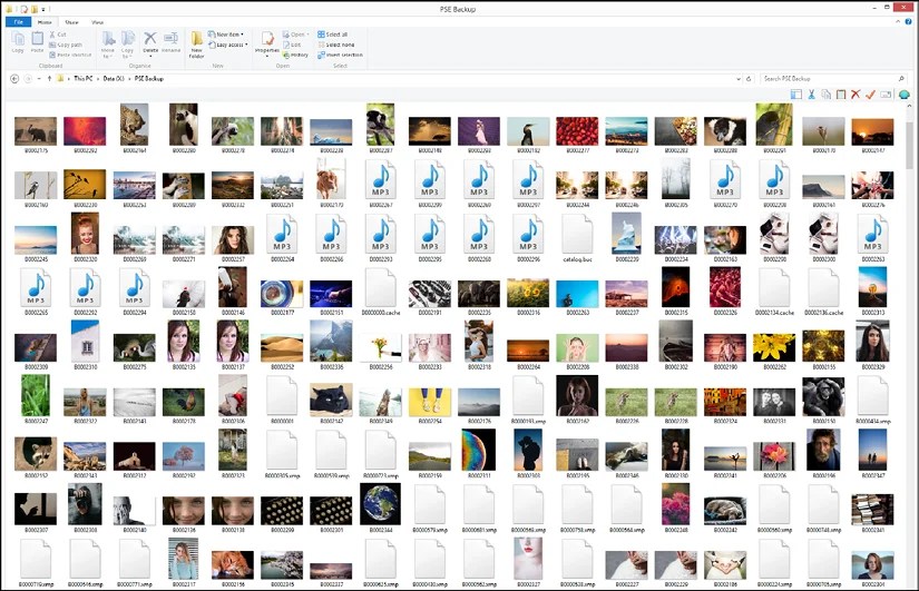 Mastering Adobe Elements 2021 Third Edition