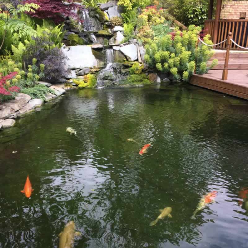 Garden Ponds & Water Features Client Gallery Perfect Ponds