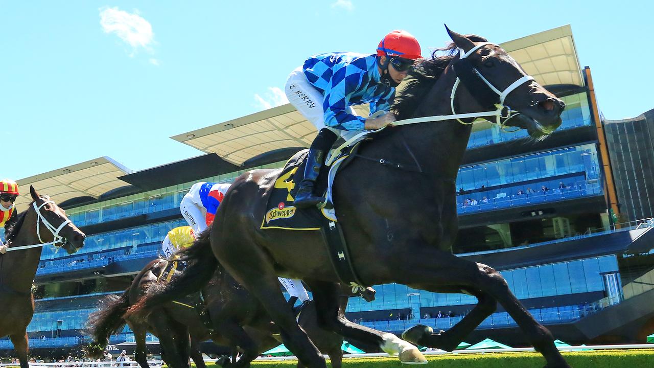 All of greater sydney, including the blue mountains, central coast and wollongong are now in a full lockdown in a bid to stamp out the state's escalating coronavirus outbreak. Sydney Lockdown Update - Covid lockdown forces Randwick meeting transfer - Racenet