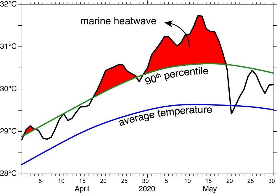 IITM Study Increasing heatwaves in the Indian Ocean alters the