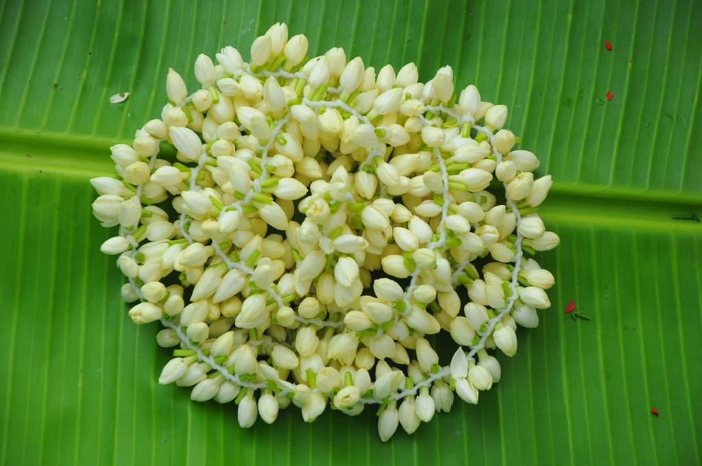 Press Information Bureau