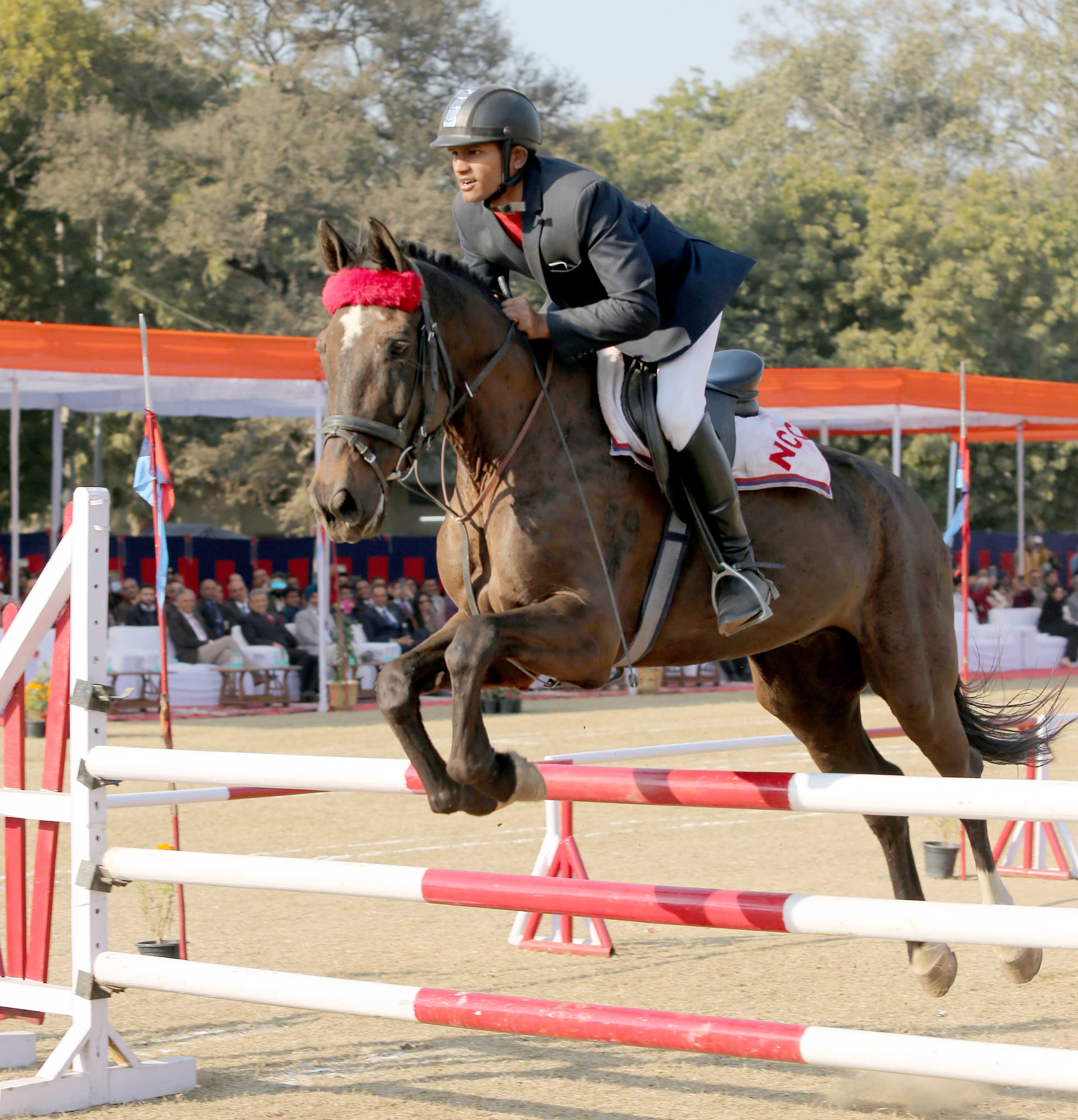 NCC Horse Show 2023 organised in Delhi Cantt
