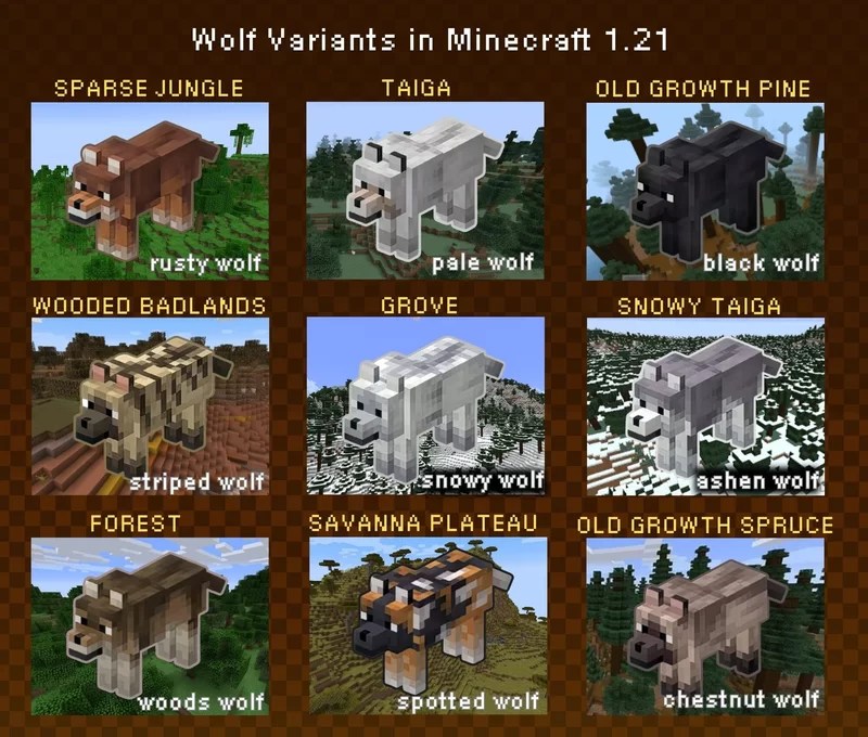 Wolf Variants and where to find them in minecraft 1.21