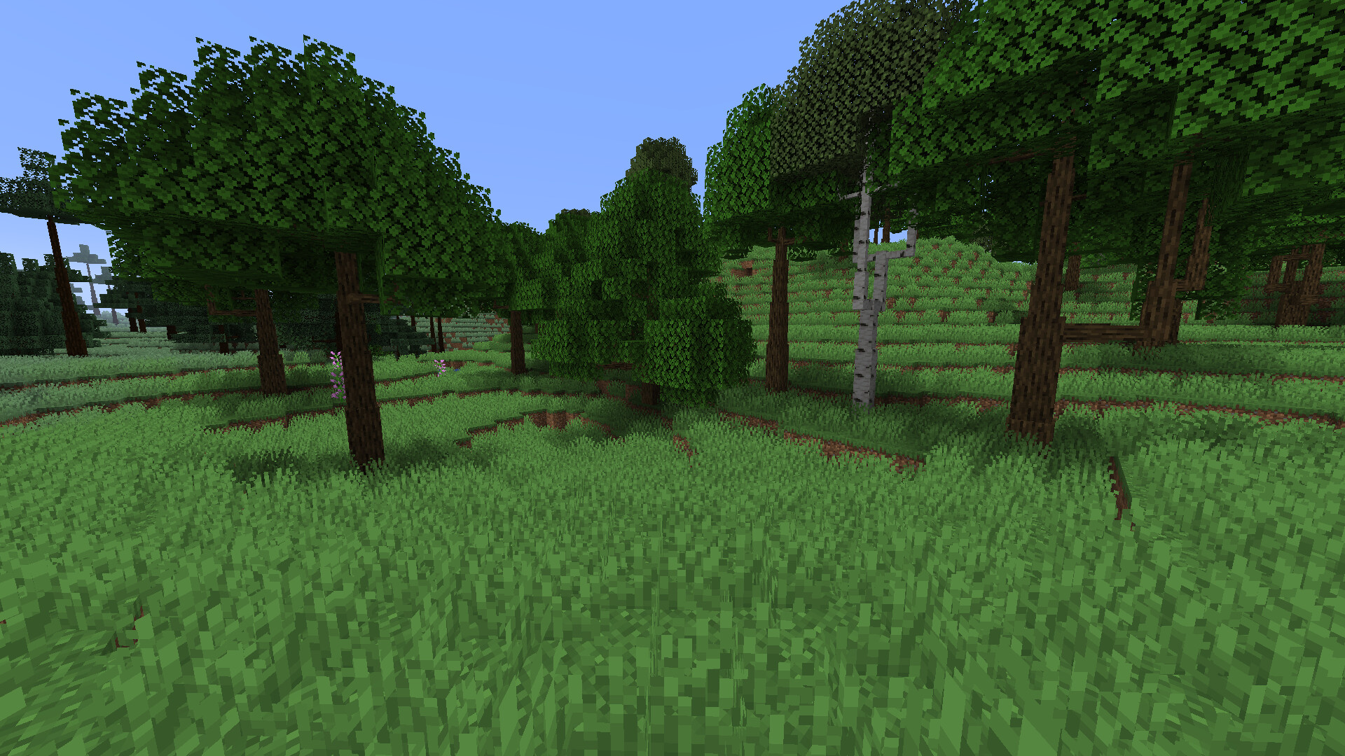 More Grass. Minecraft Data Pack
