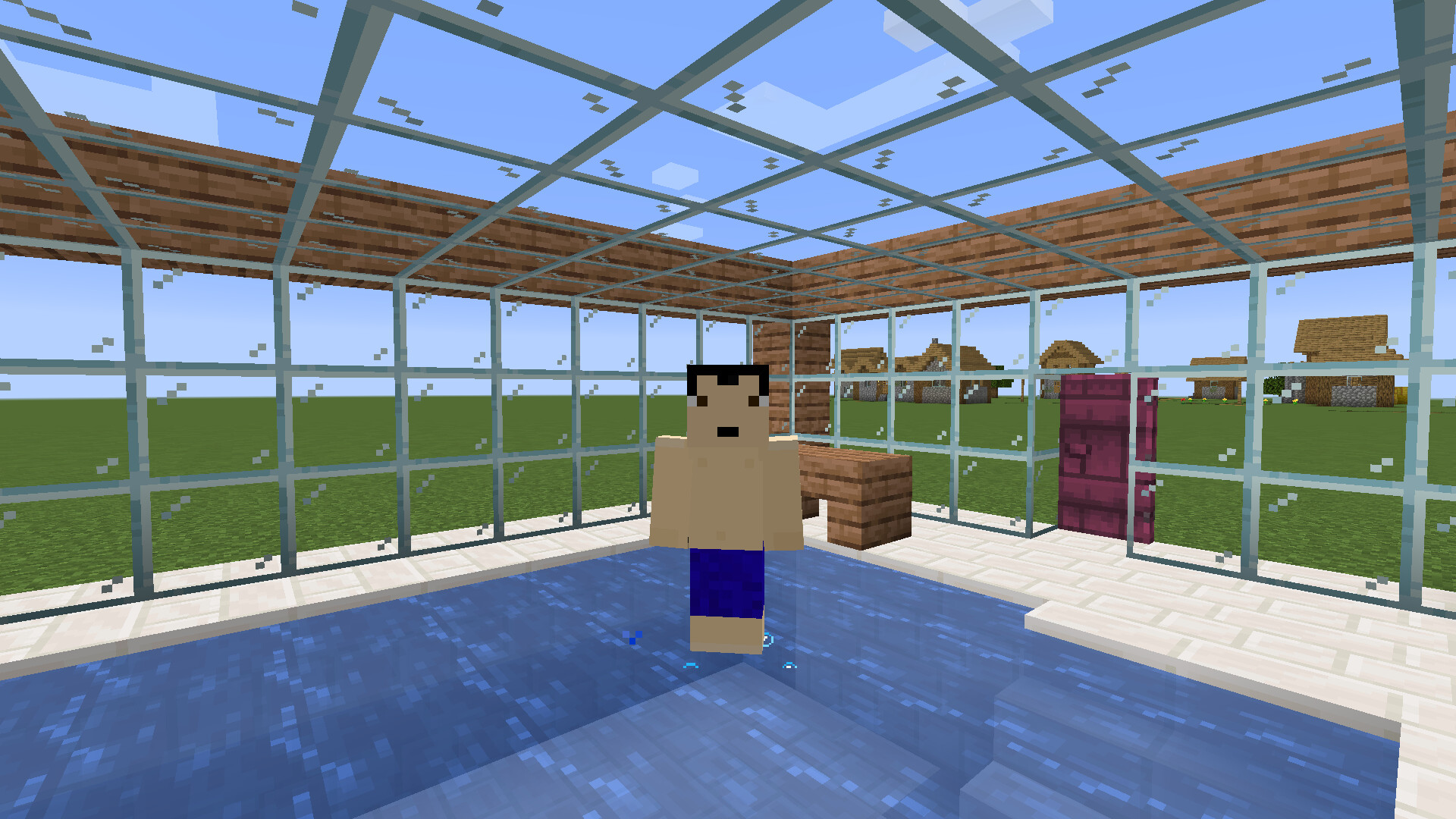 Swimming Pool Minecraft Map