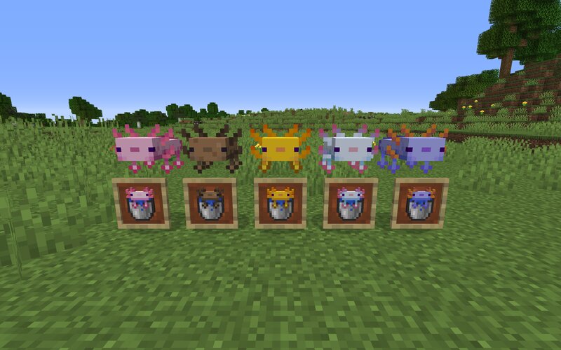 Axolotl Bucket Variants Minecraft Texture Pack