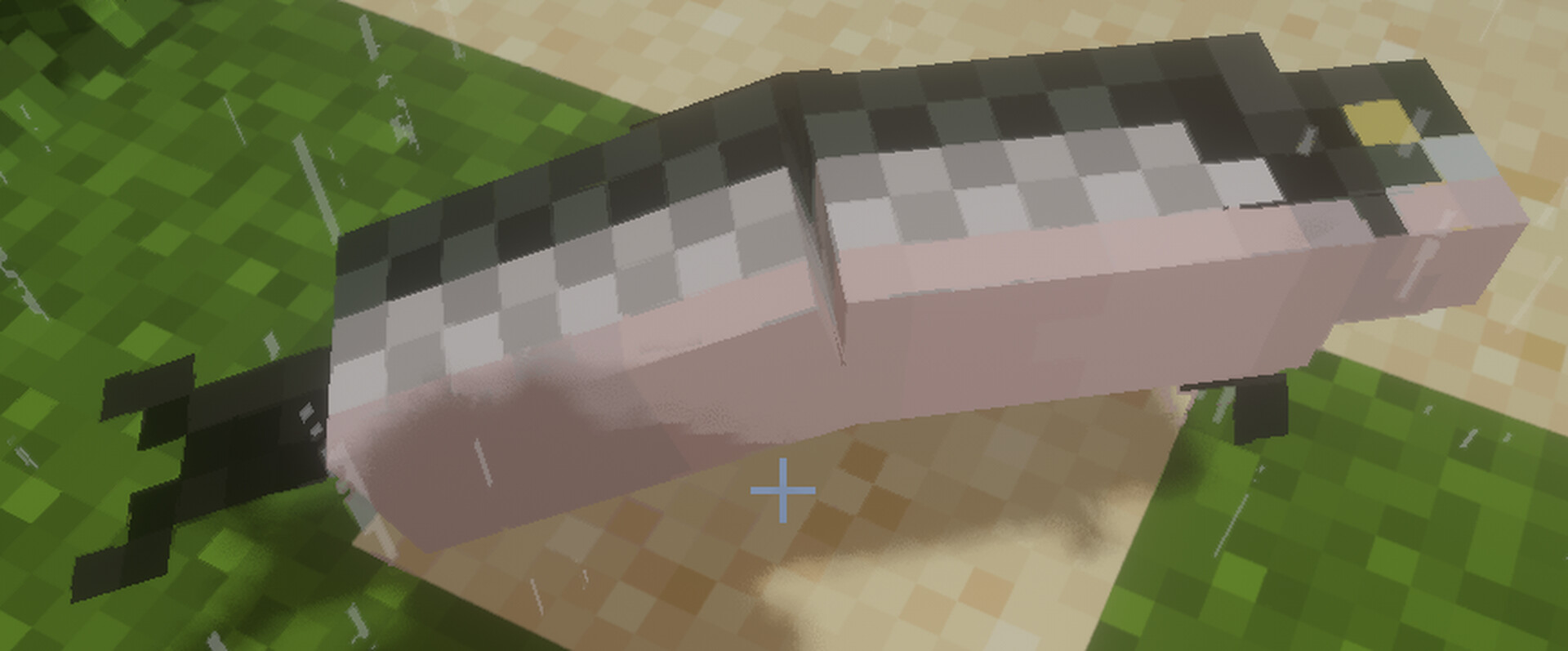 Healthy Salmon Minecraft Texture Pack