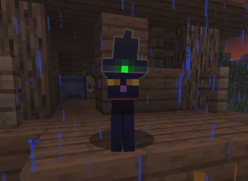 Black Cat With Witch Hat Halloween / Spooktober Texture pack