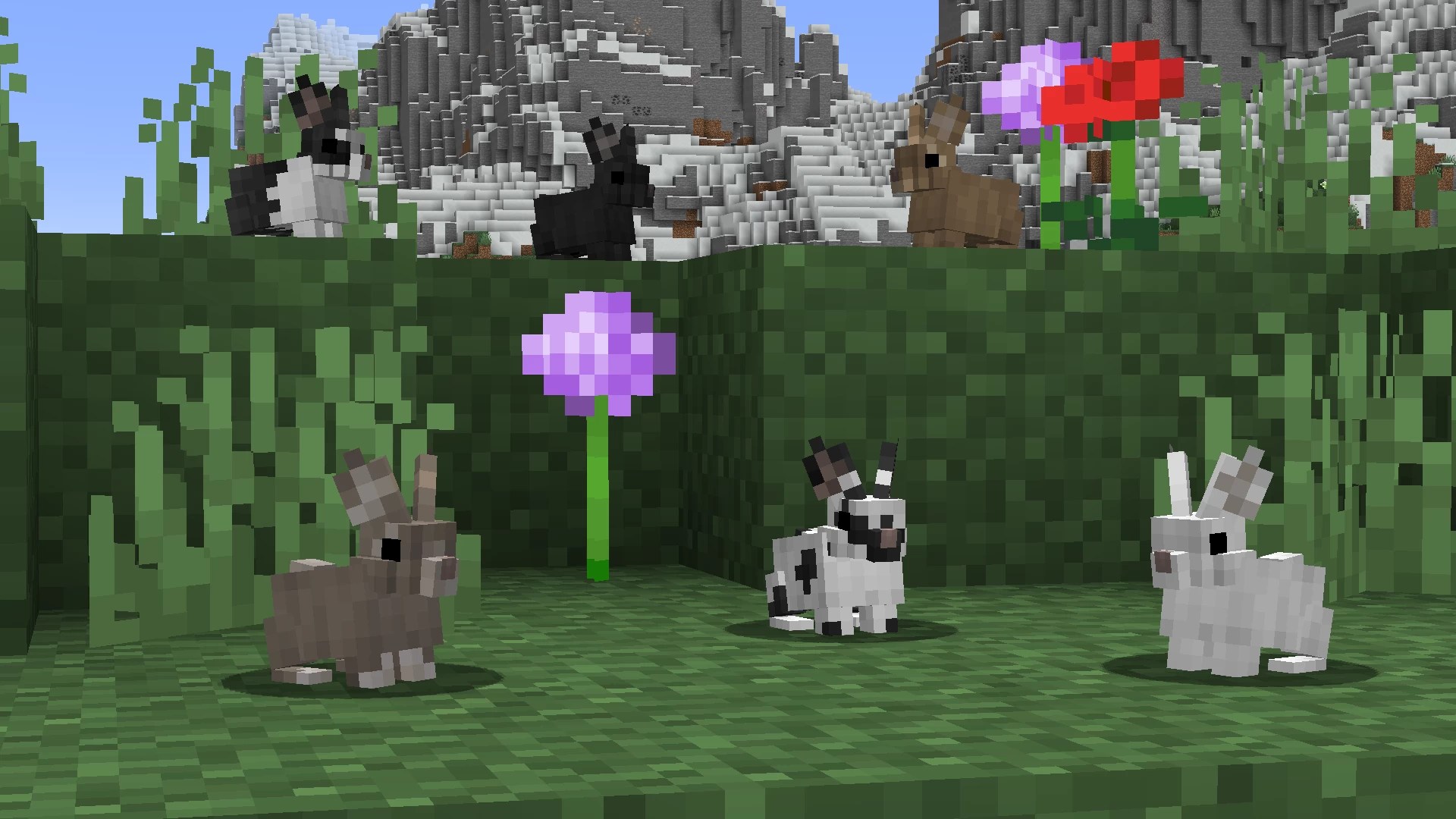 Better Rabbits Bedrock Port