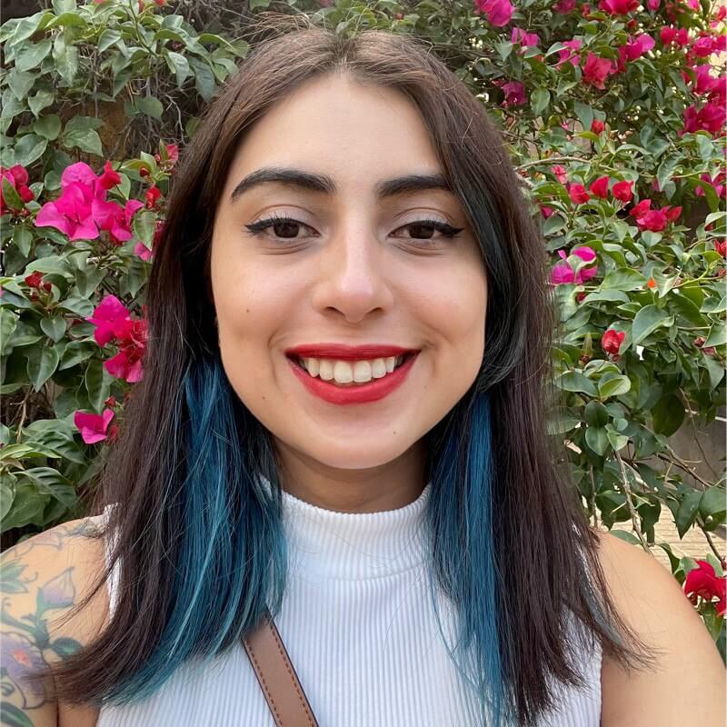 Mythbusters, edición IA. Google Bard Vs ChatGPT Platzi