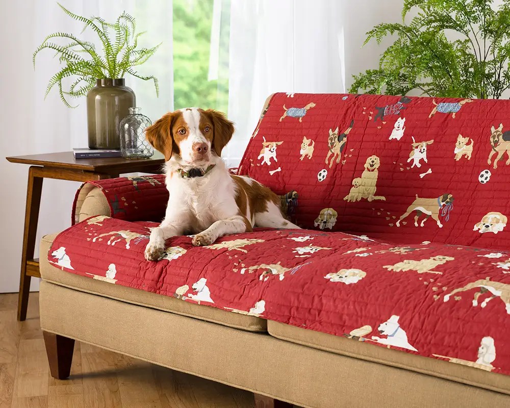 Tips for Dog Friendly Rooms Blog Plow & Hearth