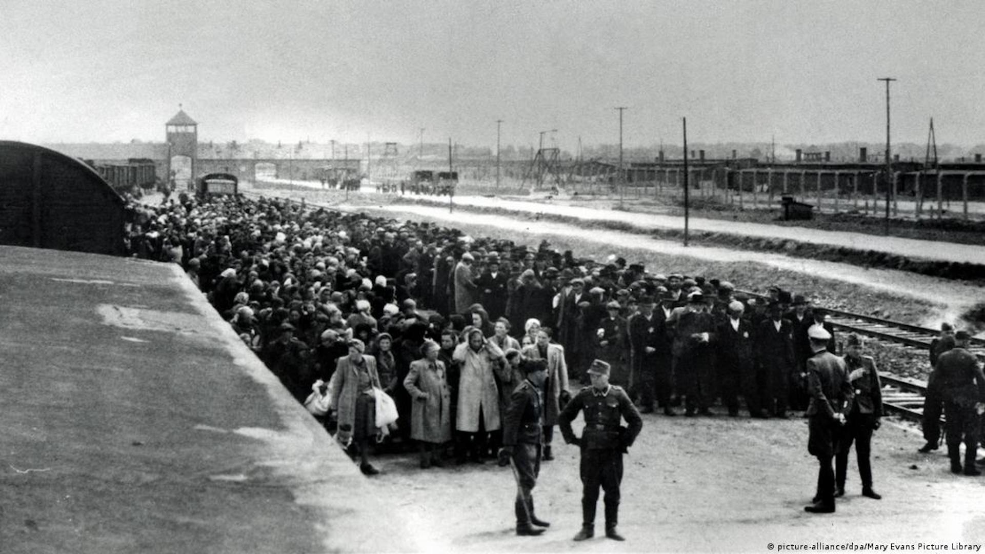 Sobrevivente de Auschwitz "Esquecer seria o pior de tudo"