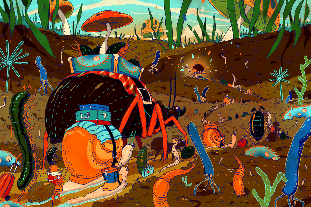 Can American soil be brought back to life?