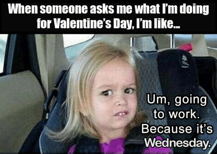 10+ Memes For People Who Absolutely Hate Valentines Day