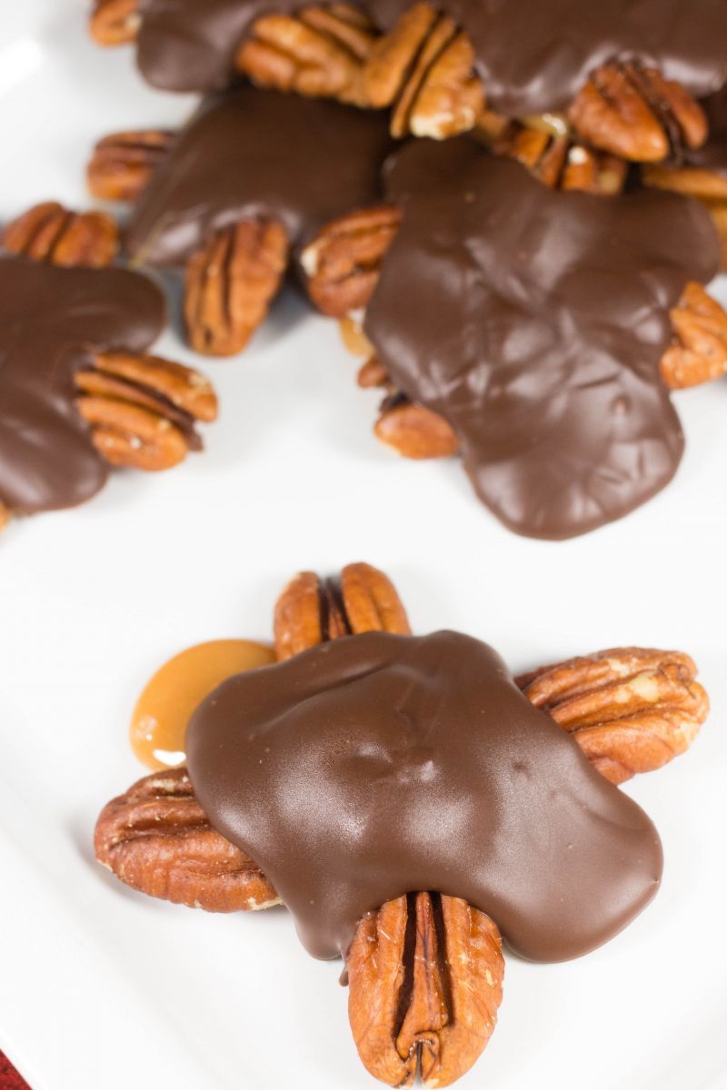 Turtle Desserts 8 Holiday Dessert Recipes