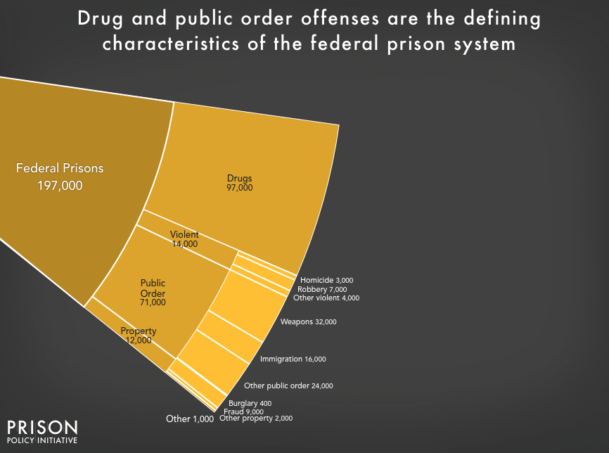 Detailed profile of US prison population