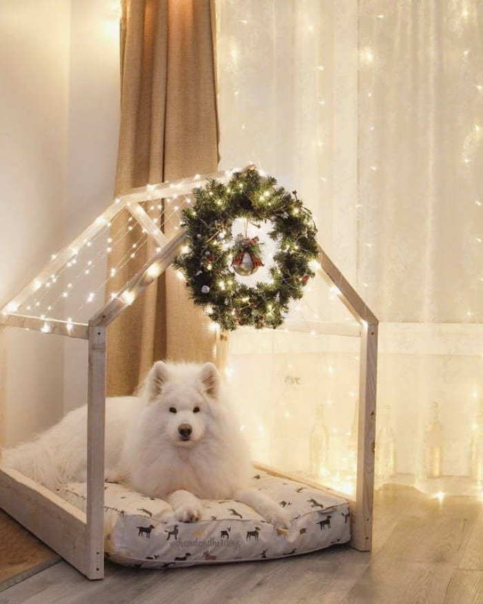 Dog Posts That May Be Exactly What You Need