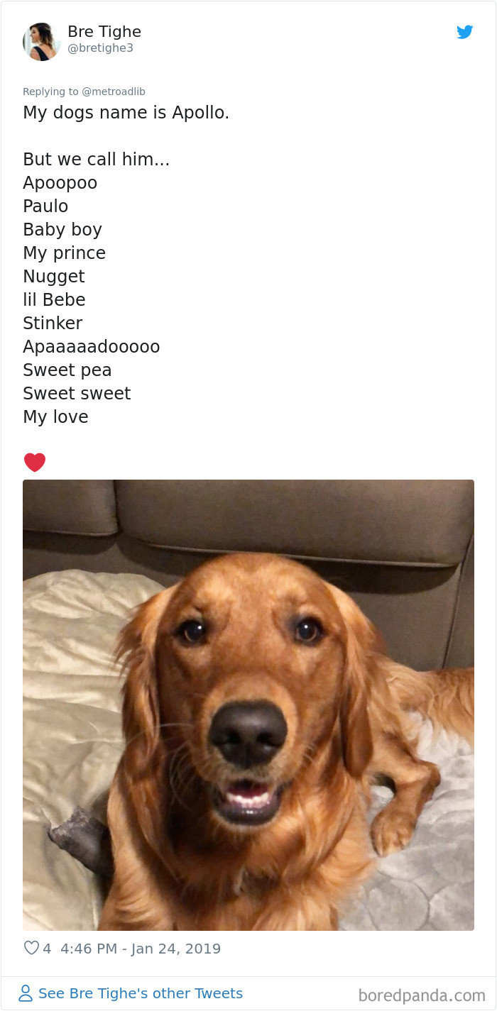 People Share Their Original Pet Names And We Are Filled With Laughter