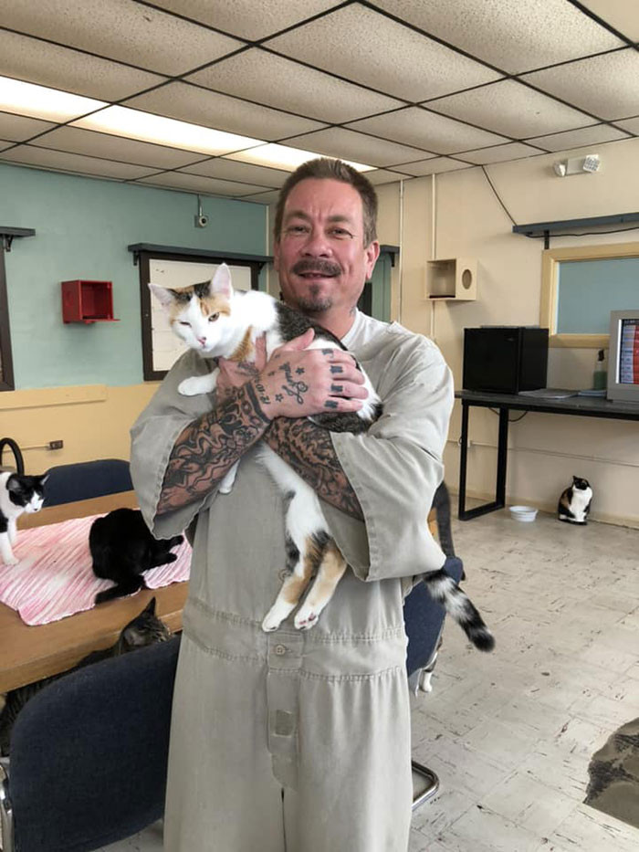 Prison Sees Change In Prisoners After Shelter Cats Are Brought In