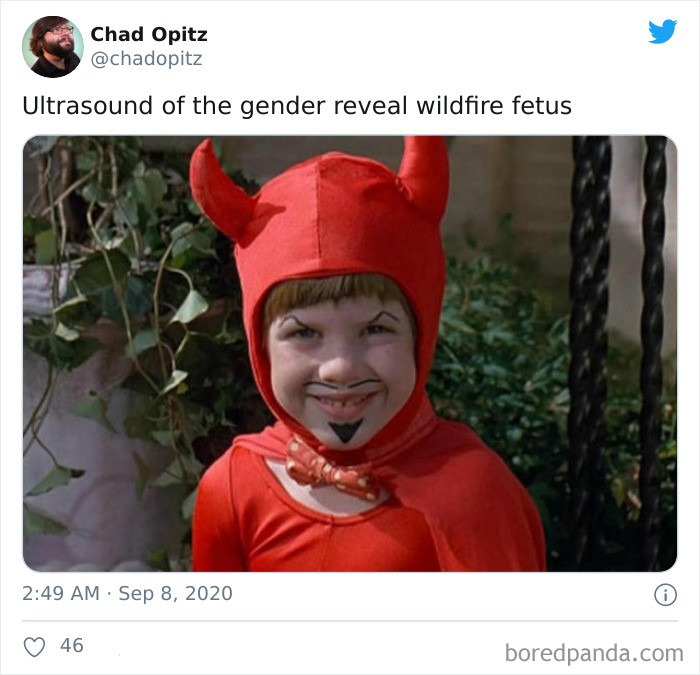 The 45 Most Hilarious GenderReveal Party Memes In Wake Of California