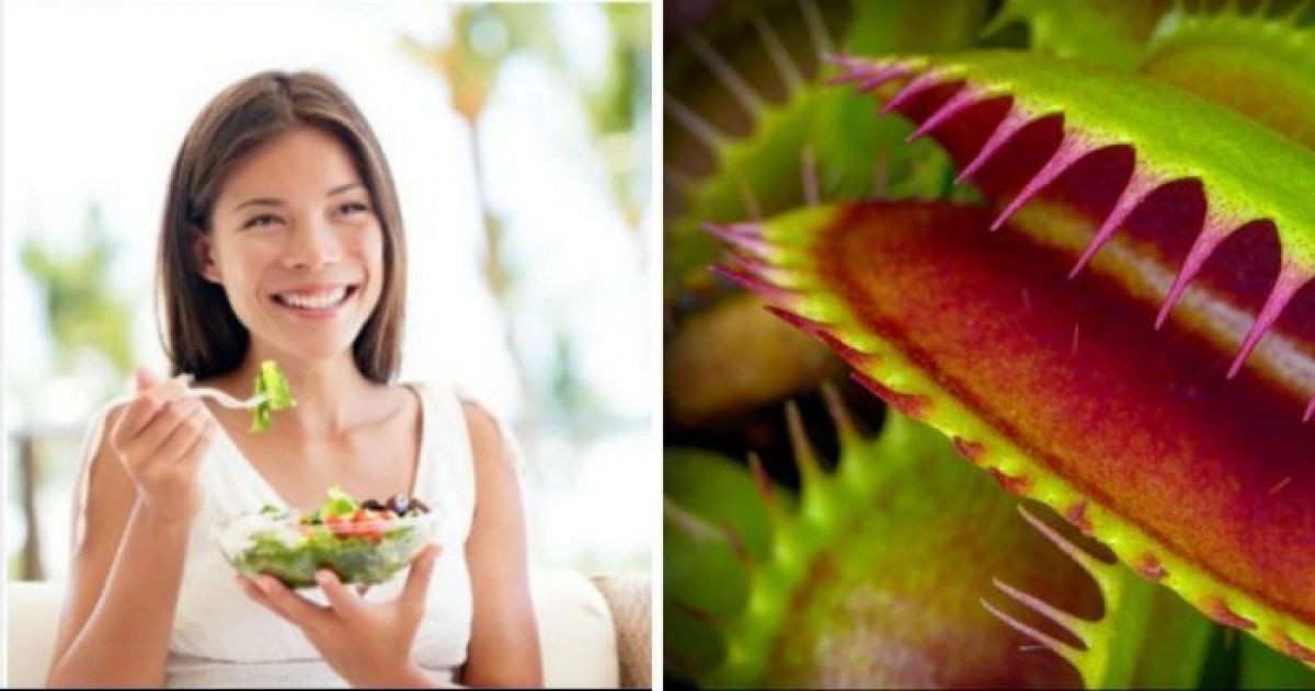 A Plant's Worse Nightmare This New Study Reveals Plants