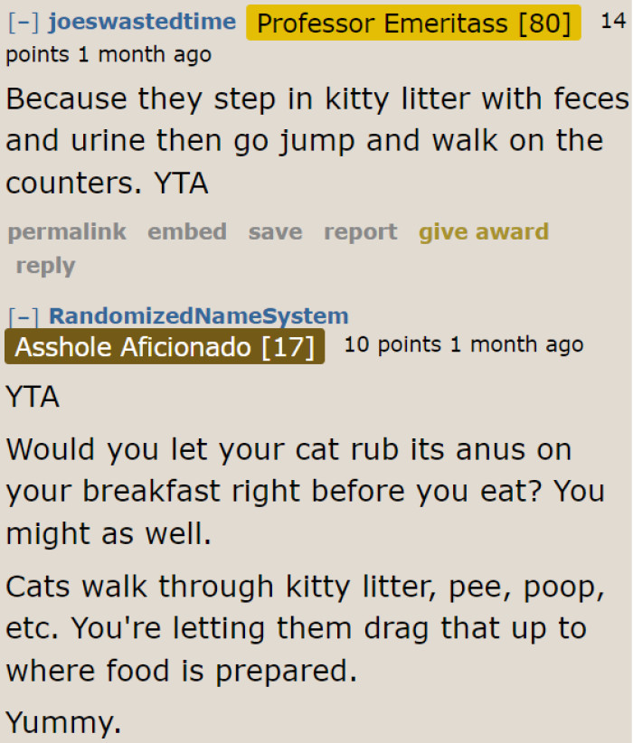 Girlfriend Nags Boyfriend For Encouraging Bad Behavior By Letting Their Kittens Jump On The