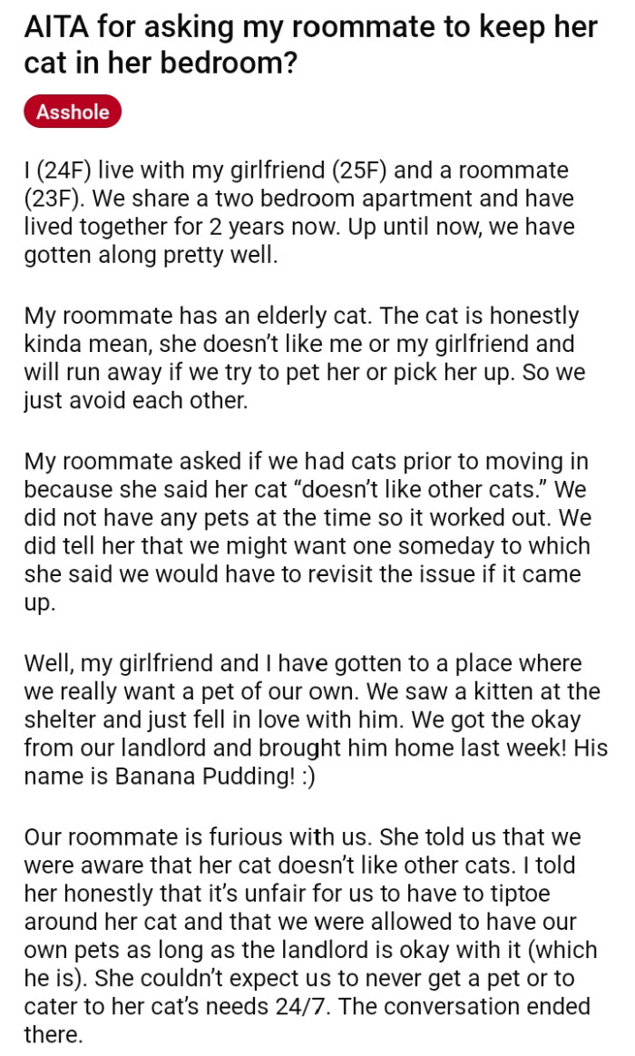Redditors Are Mad At OP For Asking Roommate To Keep Her Elderly Cat In