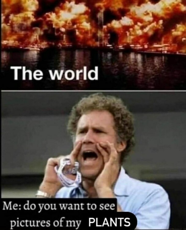 40 Witty Memes For People Who Love Their Plants More Than They Love