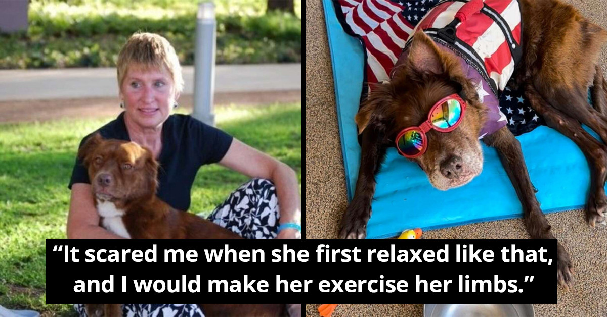 17YearOld Dog Is Living The Best Life She Spends All Day Taking